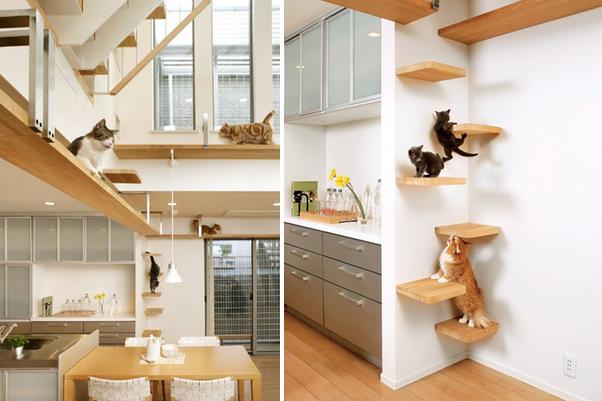 A-Dream-Home-For-Cats