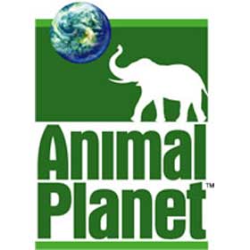 Animal Planet 