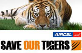 Aircel-save-tiger-campaign