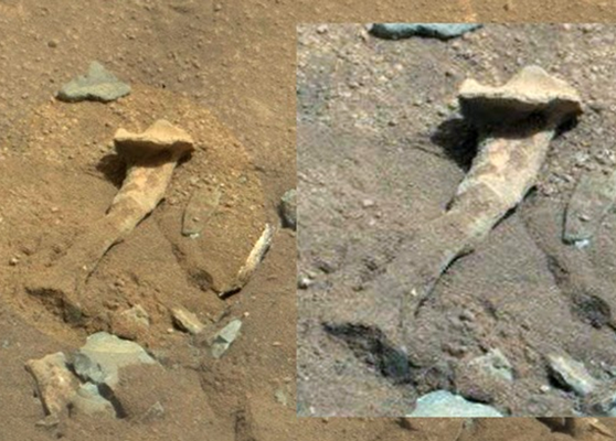 Has an alien 'thigh bone' been spotted on Mars?