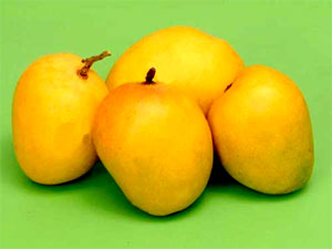 Alphonso attracting mongo-lovers in Mumbai