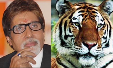 Amitabh Bachchan