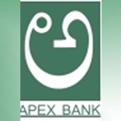 Growth to be considered before monetary policy changes: Apex bank