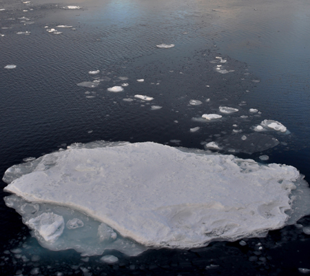 Arctic-Sea-Ice-CO2