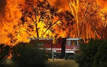 Australia forest fire