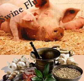 People asked to intake simple intervention Ayurveda to fight flu