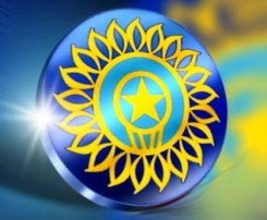 No parties during IPL4: BCCI