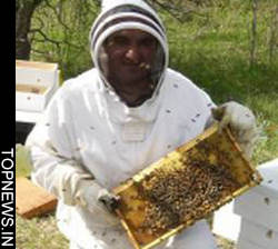 Beekeeper killing: your honey or your life 