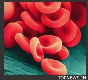 Scientists grow blood vessels using stem cells