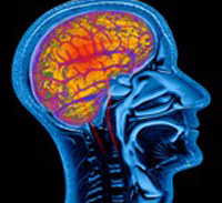 Healthy older brains not smaller than younger ones