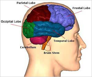 Brain structure that is crucial for moving mind’s spotlight