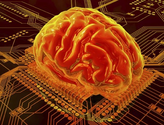 Brain-vision