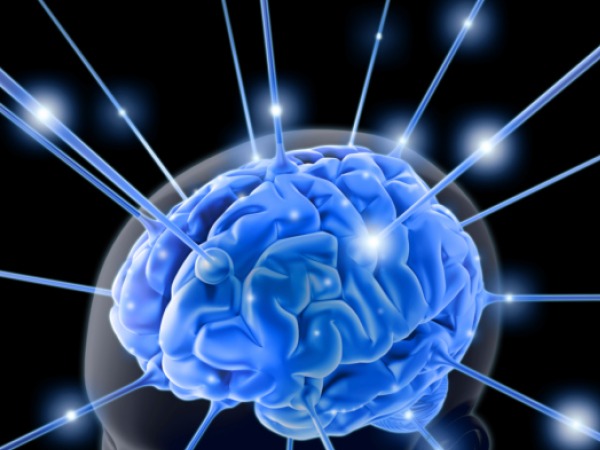 Brain