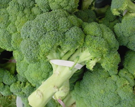 Broccoli