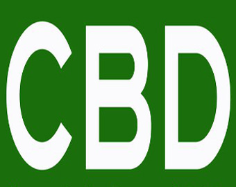 Developed nations to double funding by 2015 for CBD