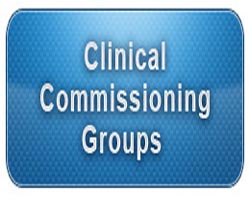 CCGs must be free and accountable, panel