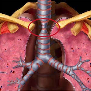 COPD May Cause Heart Troubles