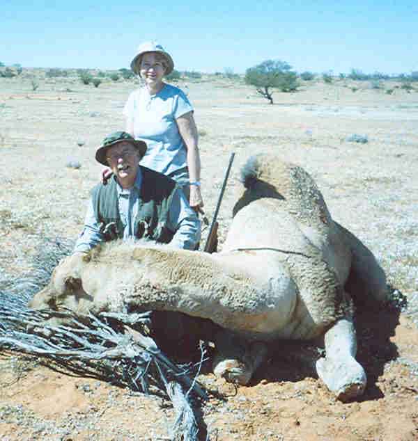 Aborigines in Australia killing boredom by hunting camels