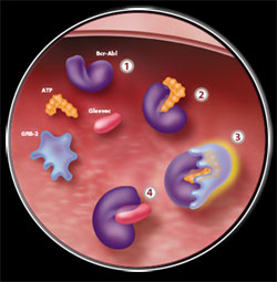 Cancer-causing Ras protein may help fight its own malign effects