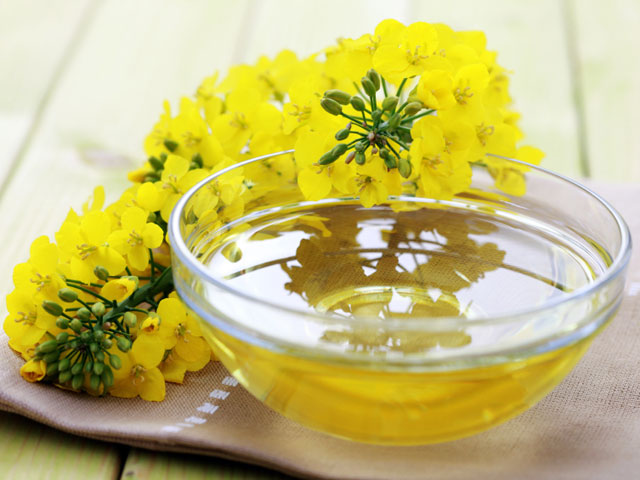 Canola-oil