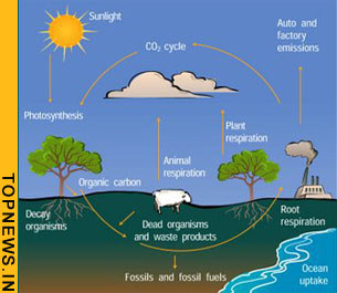 Monsoon drives long-term carbon cycles in the global ocean