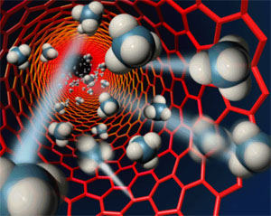 Scientists solve problem of building carbon nanotubes with right structure