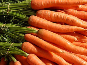 New super A carrots boost vision