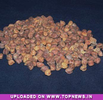 Chana