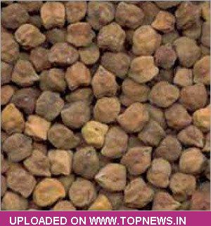 Chana