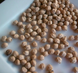 Commodity Outlook for Chana by Kedia Commodity