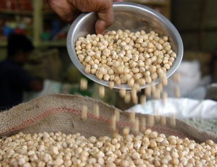 Commodity Trading Tips for Chana by KediaCommodity