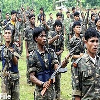 Chhattisgarh devises new strategy to combat Naxals