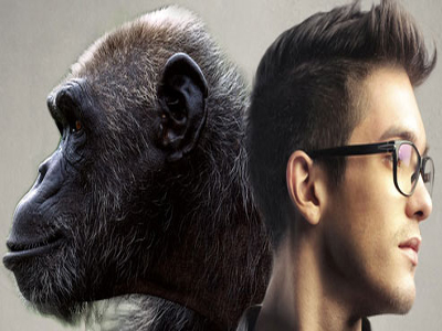 Chimps-smarter-than-humans