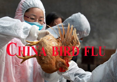 China-bird-flu