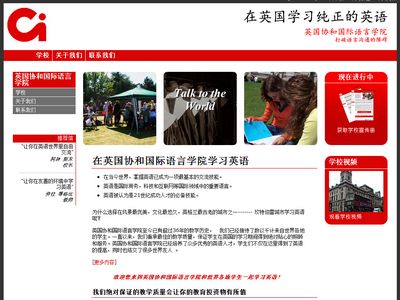 Number of Chinese websites fell significantly last year, study