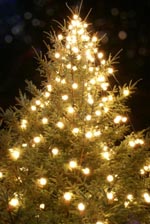 Midnight Christmas on board cruise liner from Kochi
