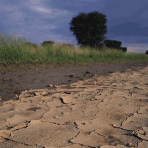 Research: 'Doubters' Of Climate Change Lack Proficiency