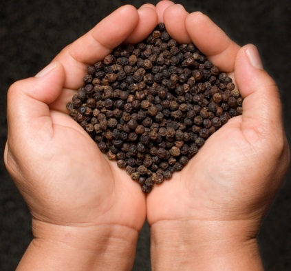 Commodity Outlook for Pepper by KediaCommodity