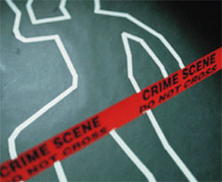 Some of the most sensational crimes of the year