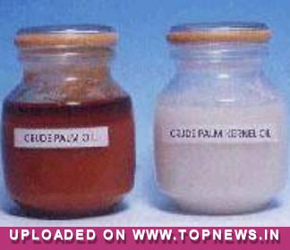 Crude Palm Oil