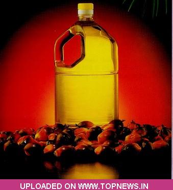 Crude palm oil trading strategy