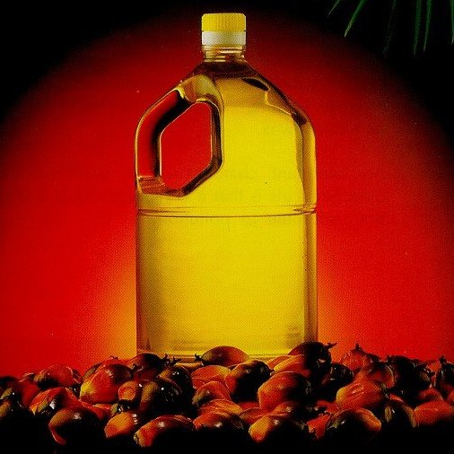 Crude-Palm-oil