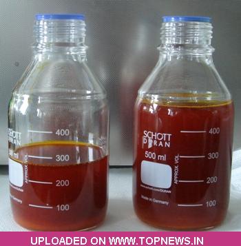 Crude Palm oil