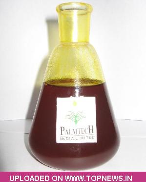 Crude palm oil trading strategy