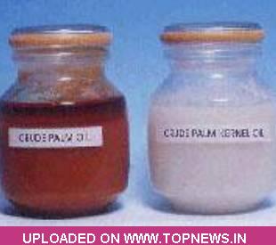 Crude Palm oil