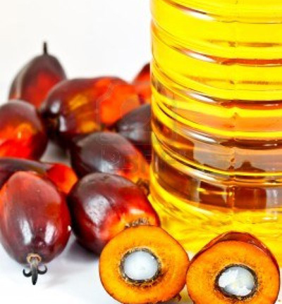 Commodity Trading Tips for Crude Palm Oil by KediaCommodity