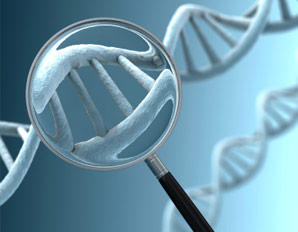 Now, know where your ancestors lived 1,000 years ago