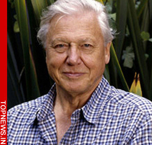 British broadcaster David Attenborough wins top Spanish award