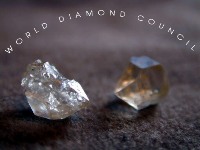 Council calls for controls to prevent trade in conflict diamonds 