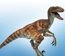 First dino footprints recognized in New Zealand date back to 70 mln years